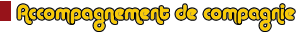 Accompagnement de compagnie